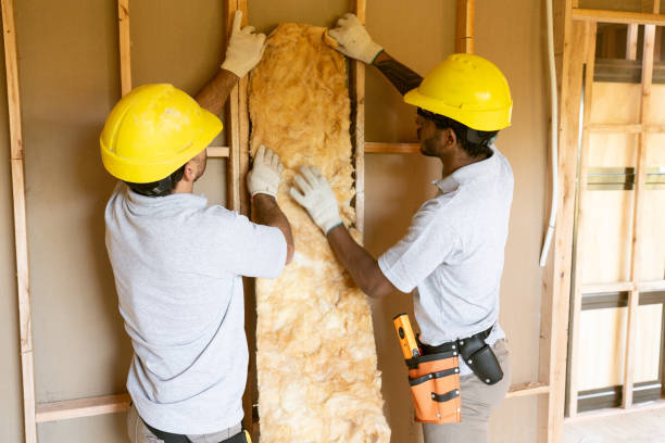 Eco-Friendly or Green Insulation Solutions in Griffin, GA